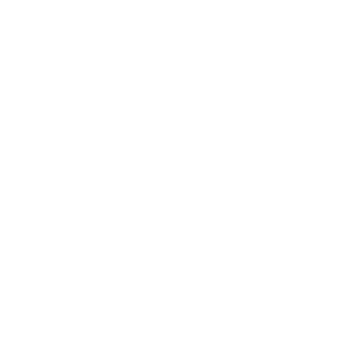 VI logo