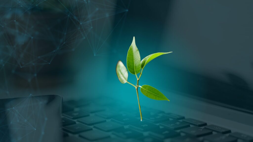 Simple Strategies for Sustainable Marketing