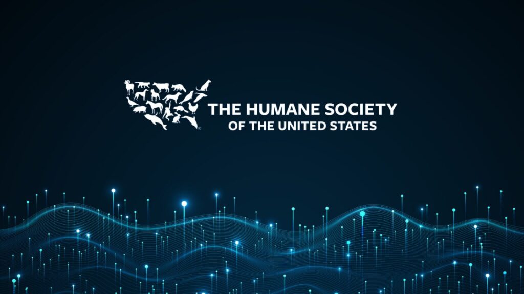 Nonprofit Digital Fundraising Strategy: A Data-Driven Approach for Animal Welfare